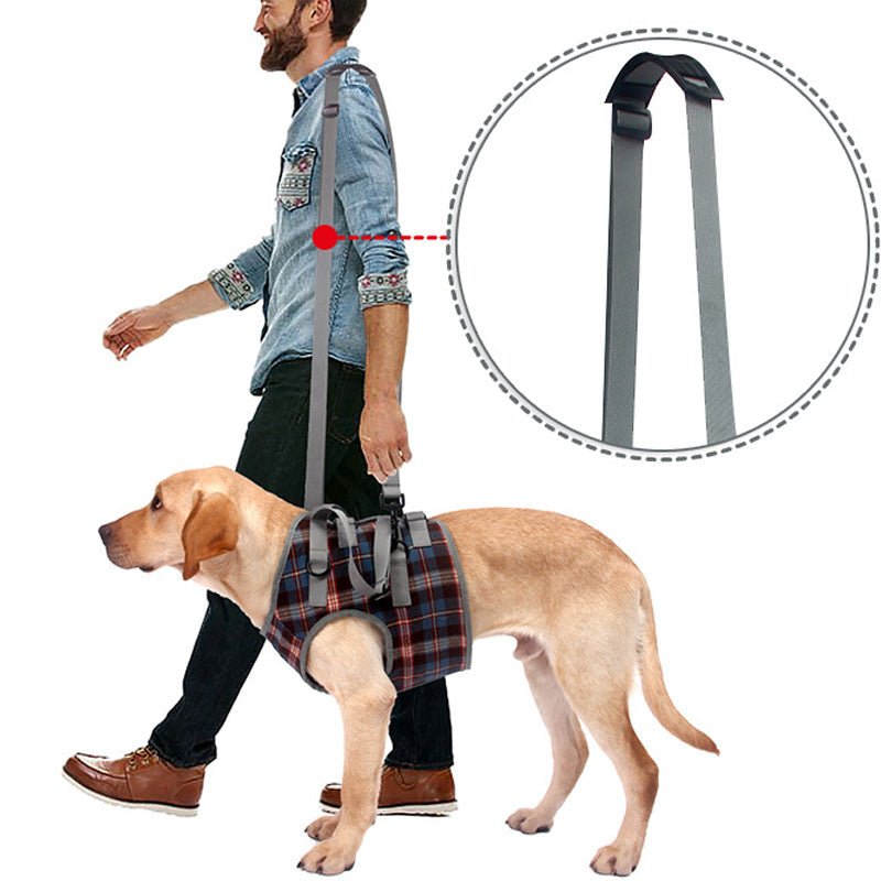 Hund Hebegeschirr Hinterbeine – Mobilitätshilfe für Senioren – Bild 10