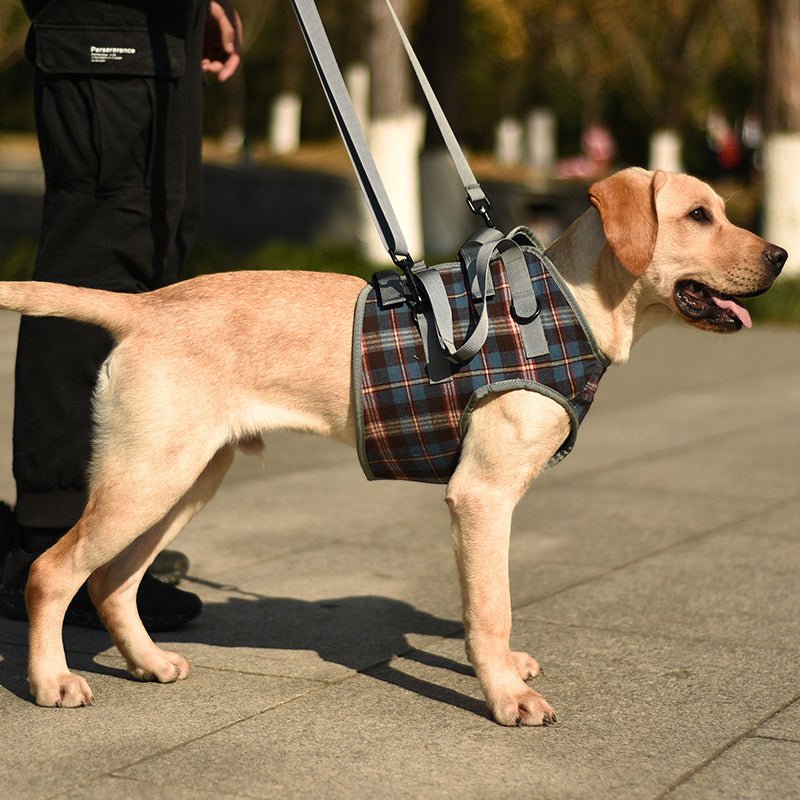 Hund Hebegeschirr Hinterbeine – Mobilitätshilfe für Senioren