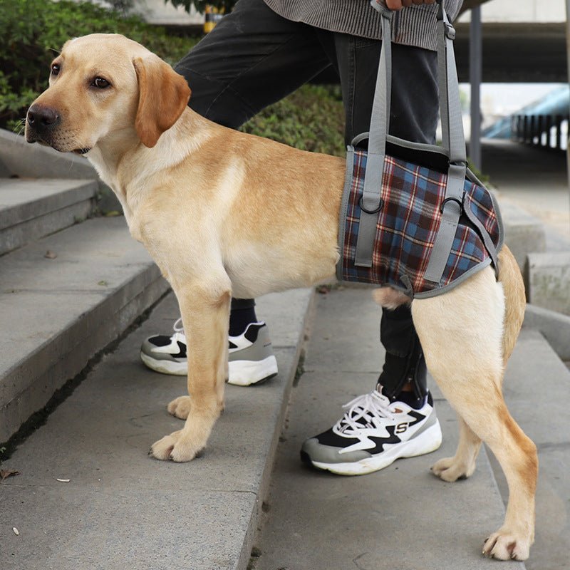 Hund Hebegeschirr Hinterbeine – Mobilitätshilfe für Senioren – Bild 2