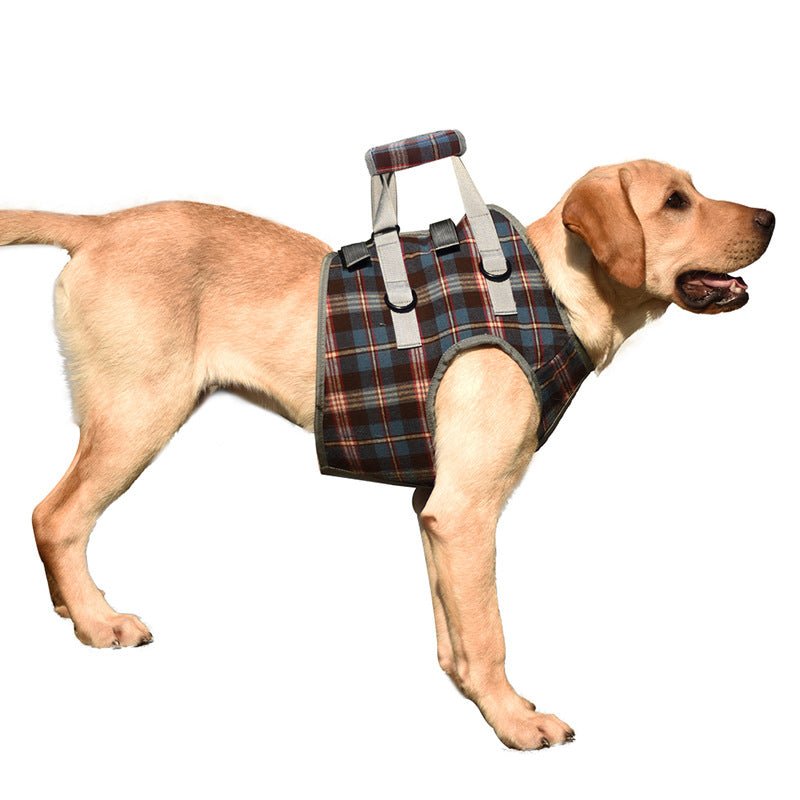 Hund Hebegeschirr Hinterbeine – Mobilitätshilfe für Senioren – Bild 18
