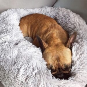 Orthopädisches Hundebett Donut waschbar – Gegen Angst & Gelenkschmerzen