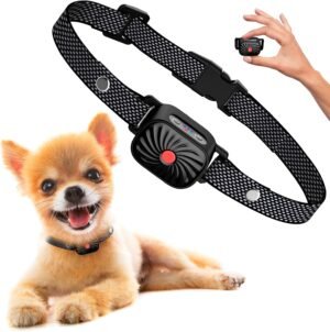 Hundehalsband Vibration kleine Rassen wasserfest
