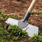 Pflasterfugenreiniger mit Holzstiel – Unkraut & Moos