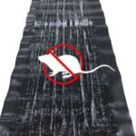 Mäuse Ratten Insekten Klebefallen Set giftfrei für Haus & Garten