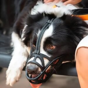 Atmungsaktiver Hundemaulkorb Beißschutz Bellschutz Training