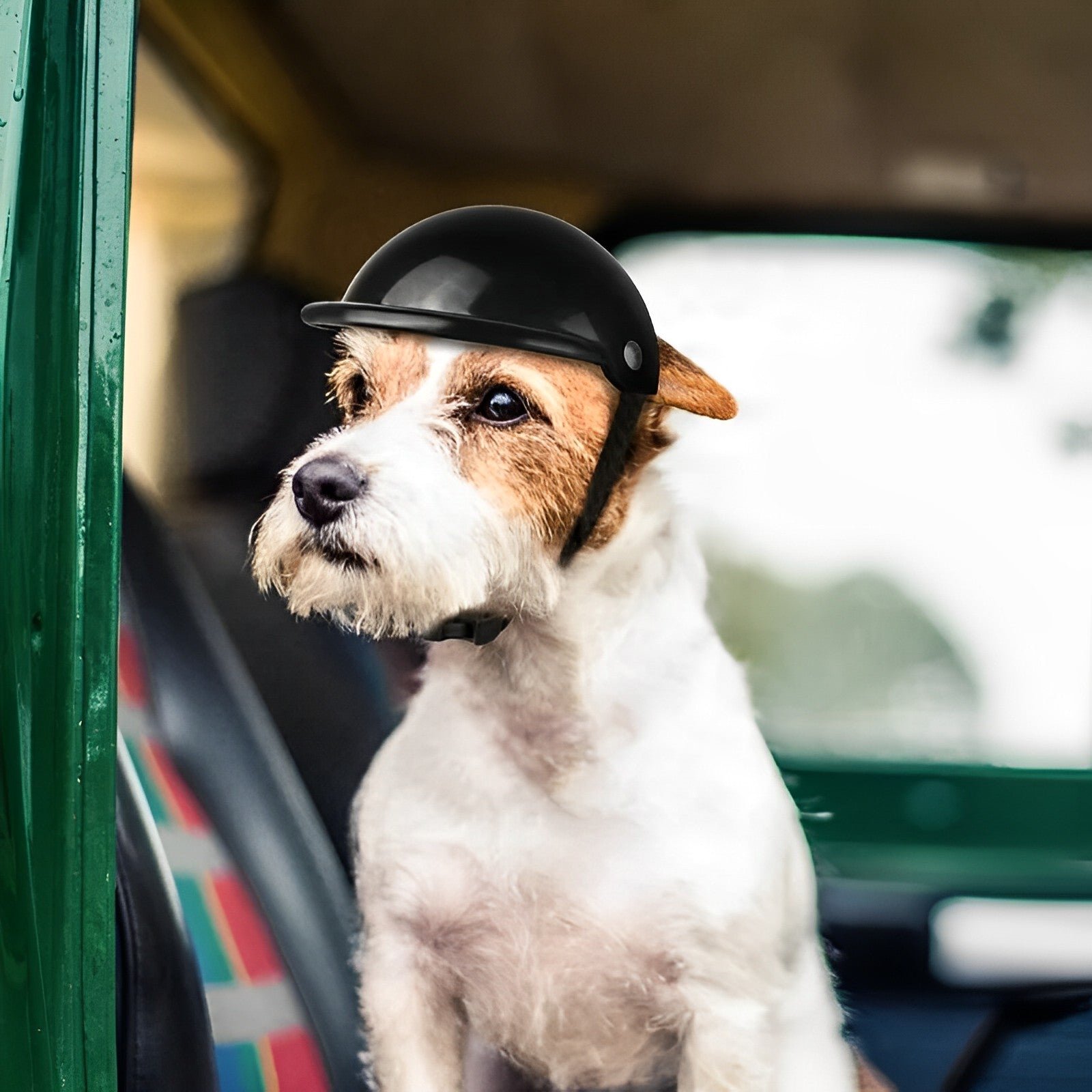 Hundehelm mit Brille für Abenteuer UV-Schutz