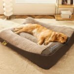 Hundebett für Gelenkentlastung mit waschbarem Veloursbezug
