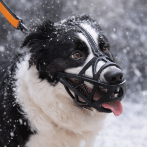 Maulkorb für Hunde: Weich, Atmungsaktiv & Druckreduzierend