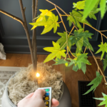 LED-Strahler dimmbar kabellos fernbedienbar schwenkbar