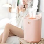 Luftbefeuchter leise 3000ml für Schlaf & Hautpflege