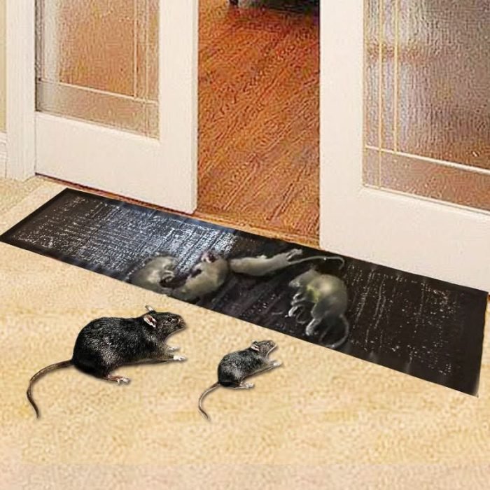 TRAPZONE_MAX__Grosse_Ungiftige_Klebefalle_fur_Effektive_Schadlingsbekampfung_1