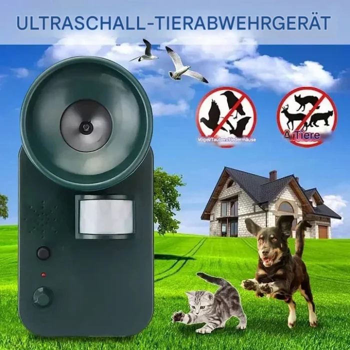 a73b4b8e55efbb8d8cddcf4a9806daed (1)