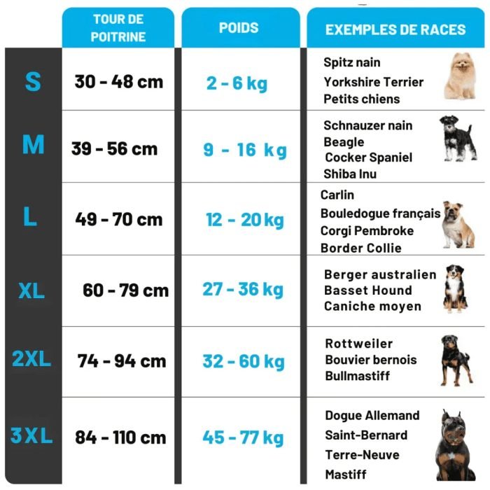 gilet-rafraichissant-pour-chien-2806775
